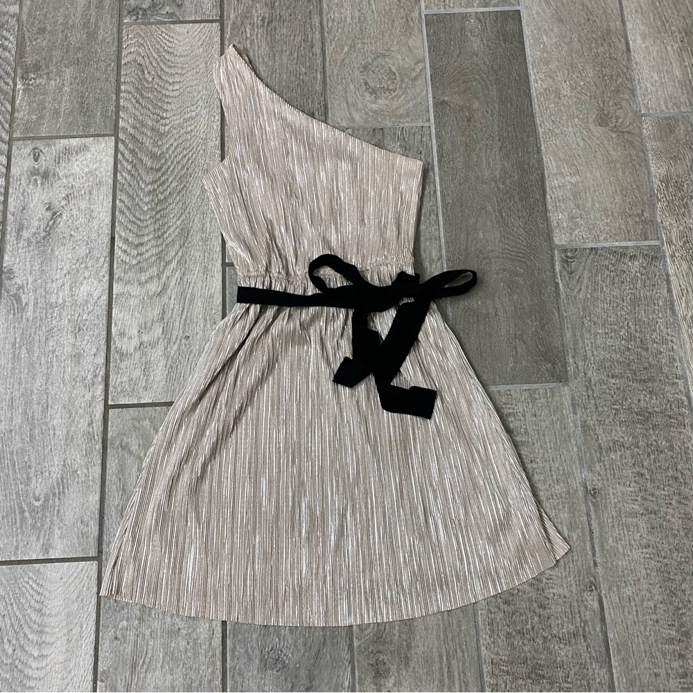 Express Dress - Picture 1 of 3